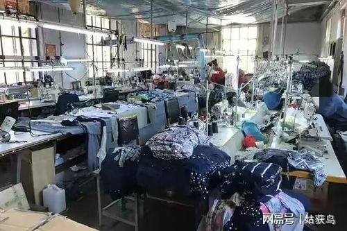 牡丹江一大型工廠二拍遇冷，1044.7萬元無人問津的背后